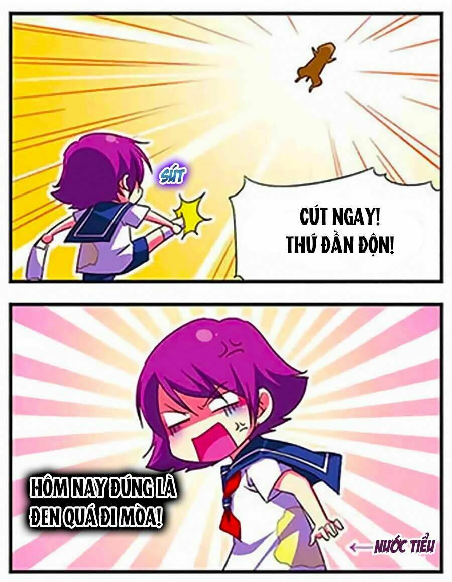 Chương 106 - Trang 17