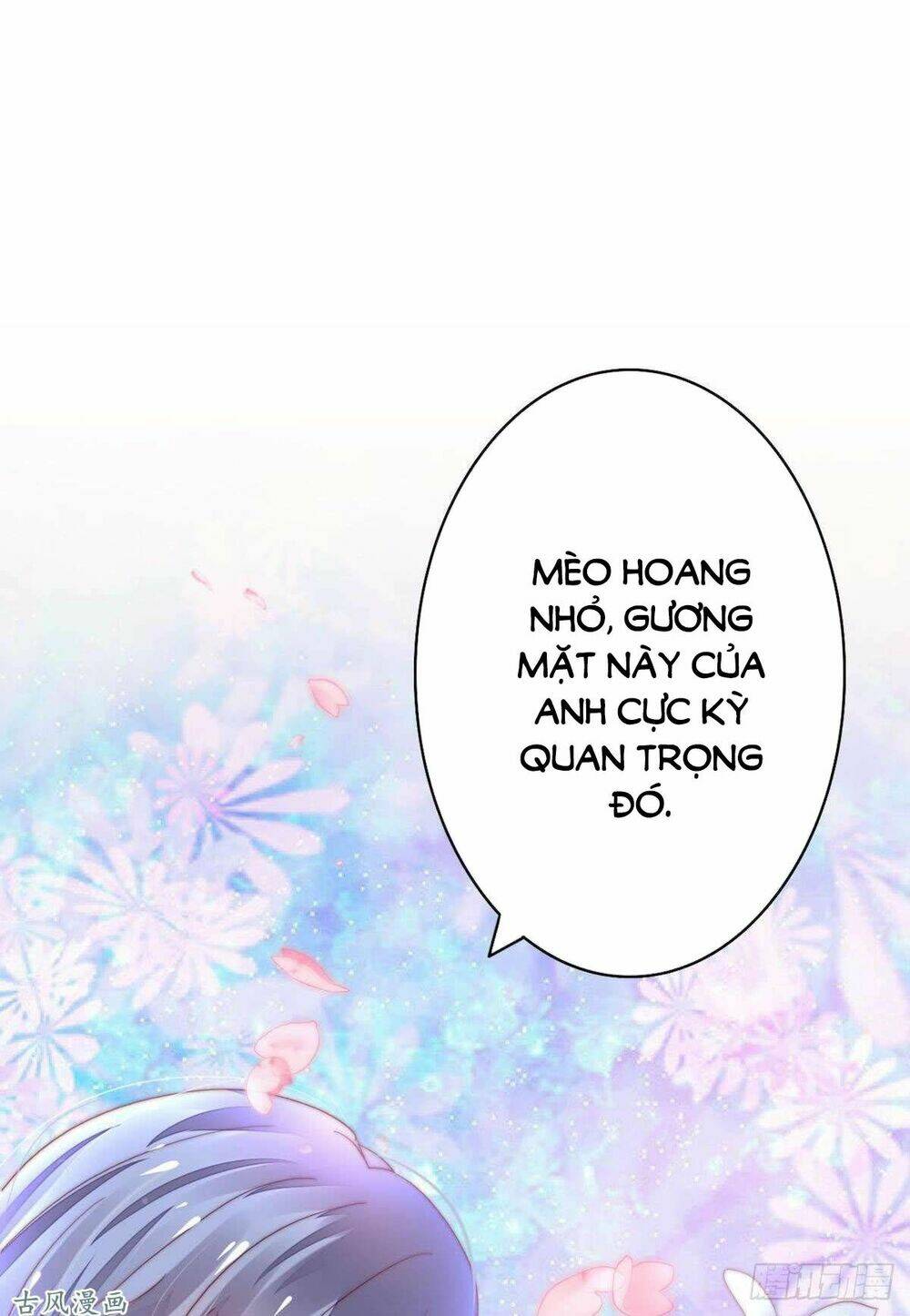 Chương 37 - Trang 17