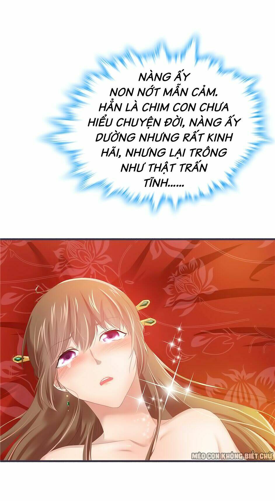 Chương 2 - Trang 7
