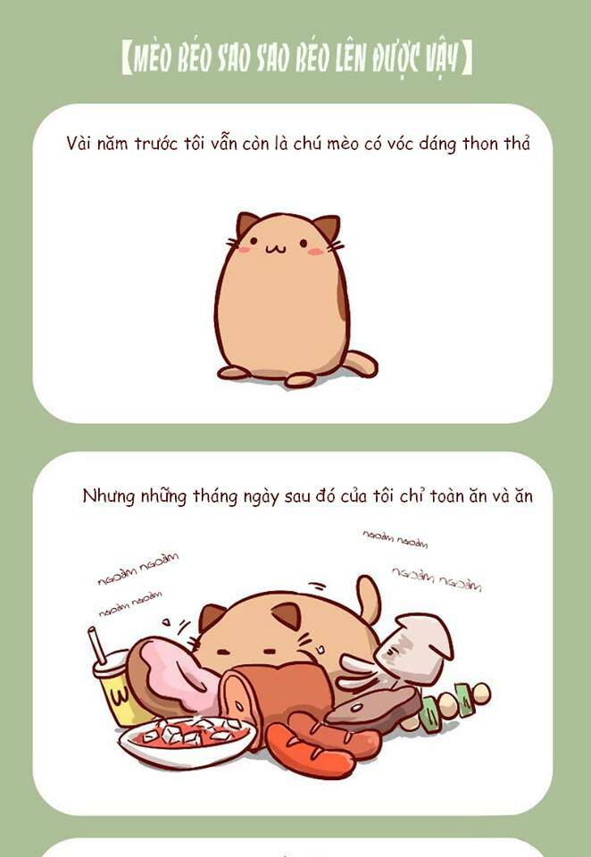 Chương 0 - Trang 3