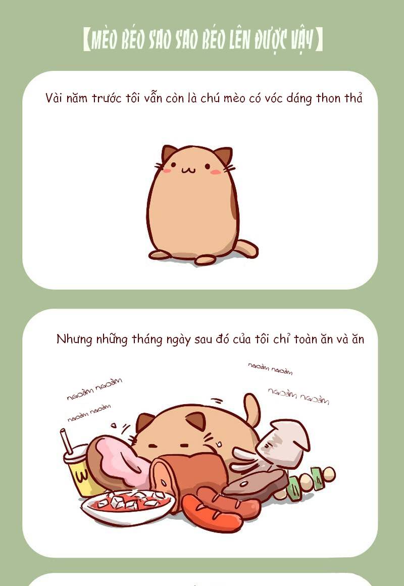 Chương 1 - Trang 3