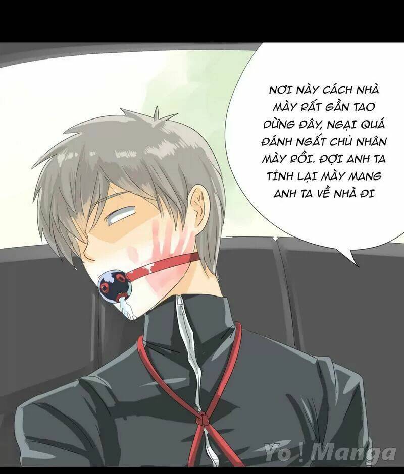 Trang 4