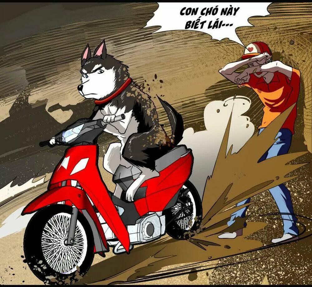 Trang 7