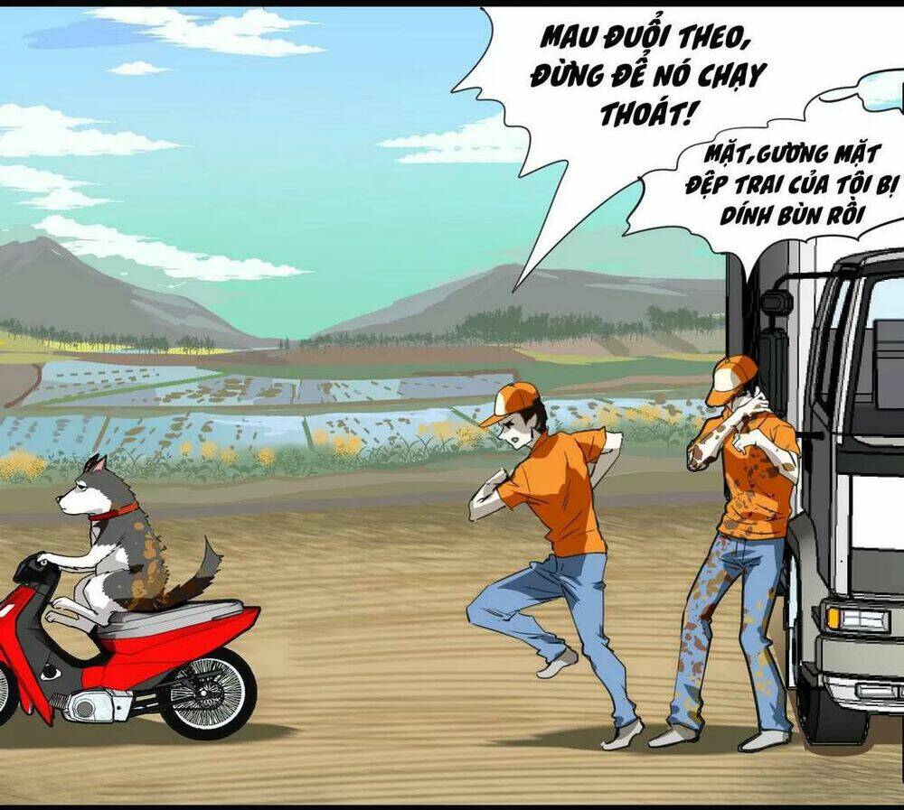 Trang 8