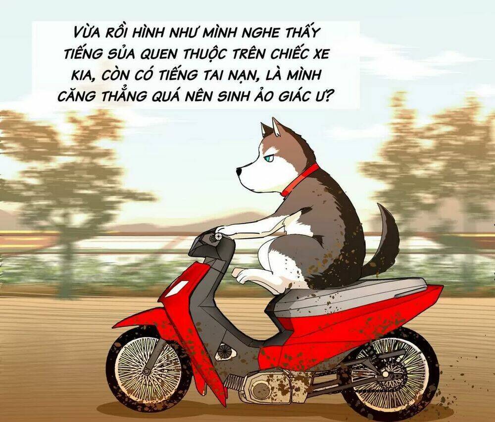 Chương 64 - Trang 1