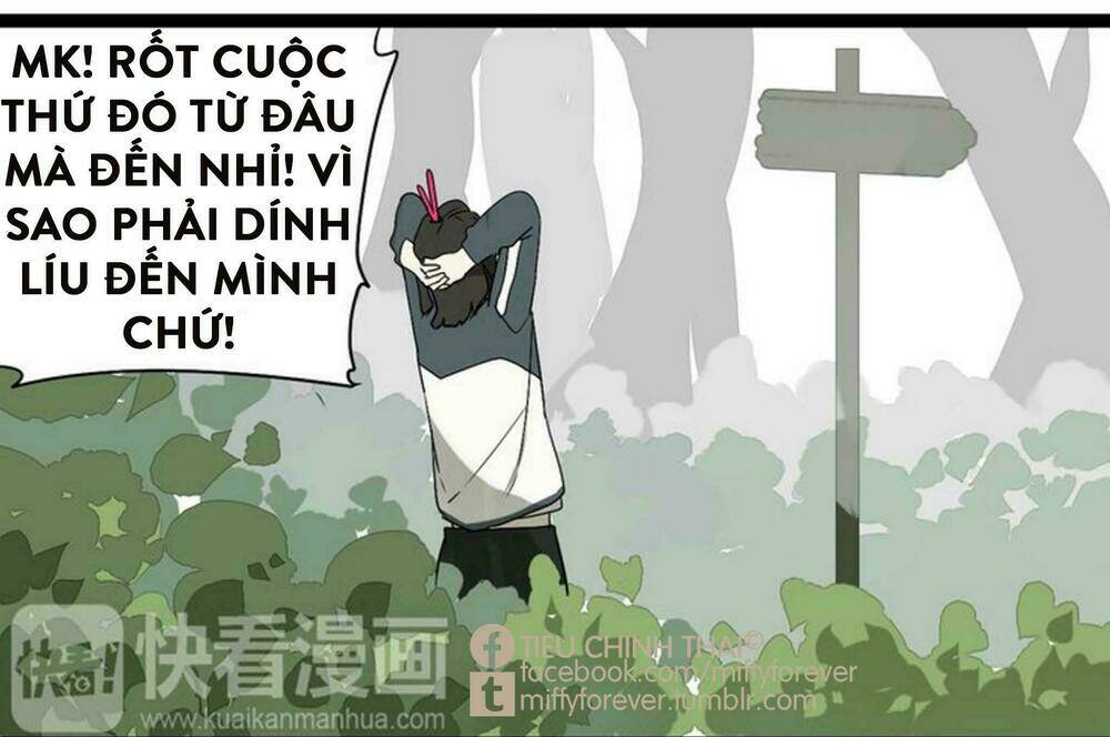 Trang 19
