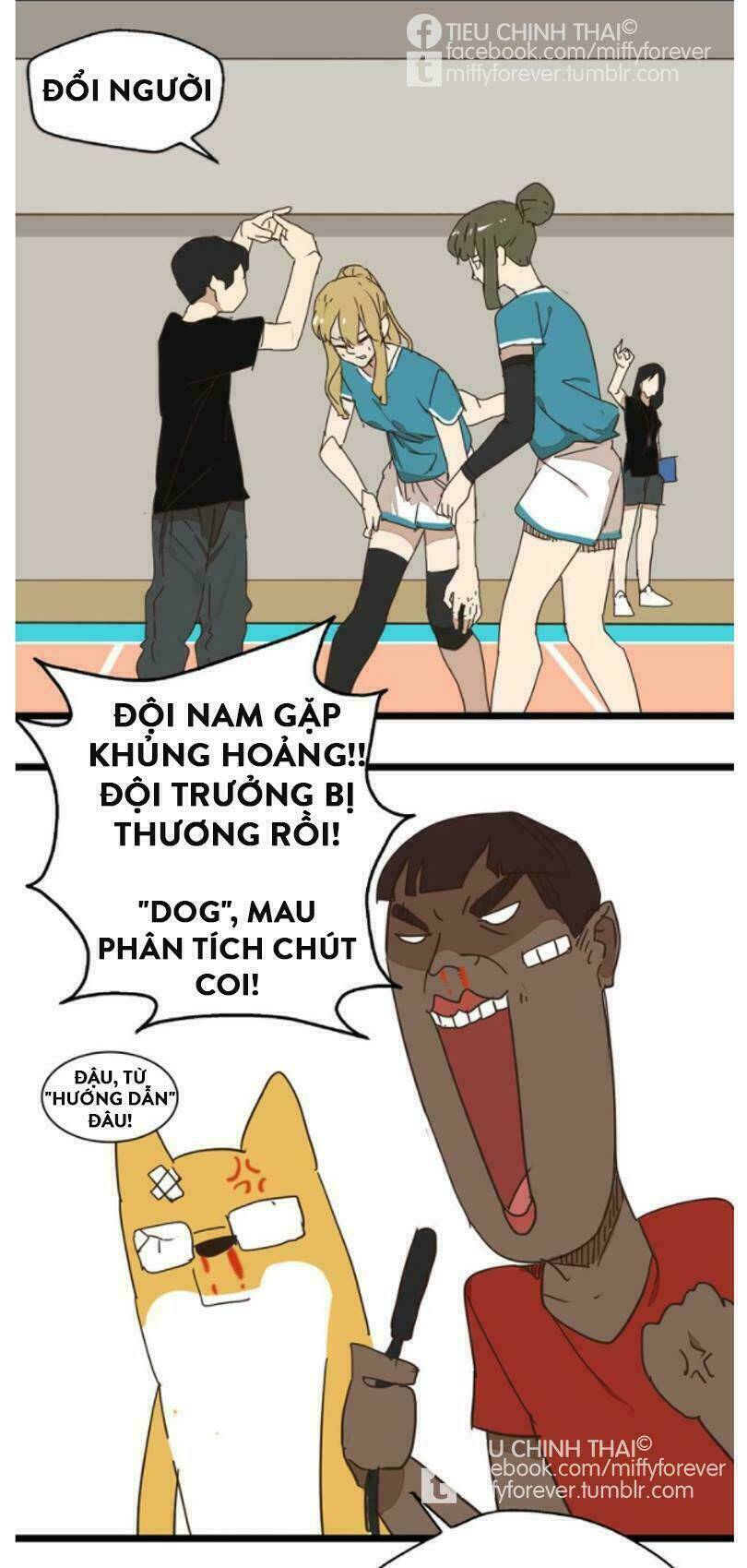 Trang 27