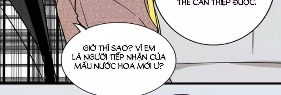 Chương 40 - Trang 46