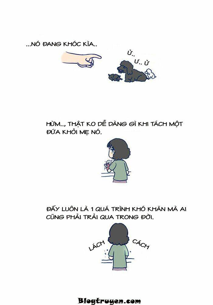 Chương 11 - Trang 5