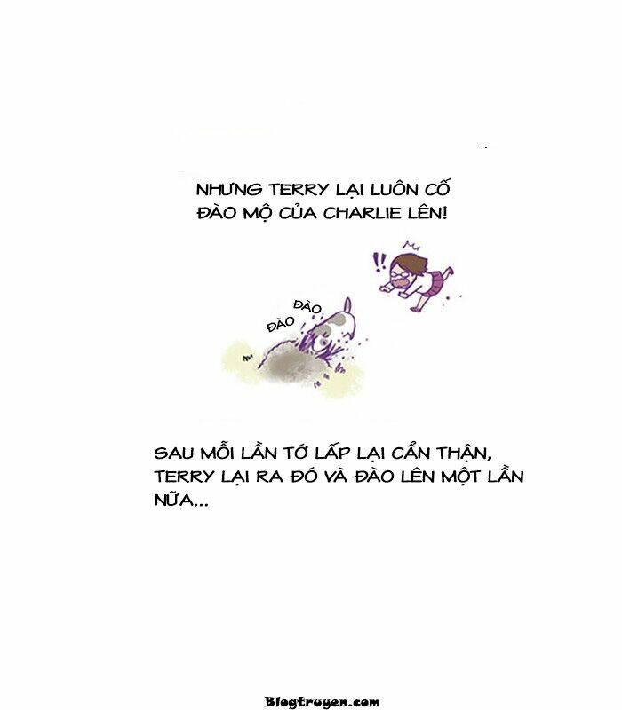 Chương 17 - Trang 5