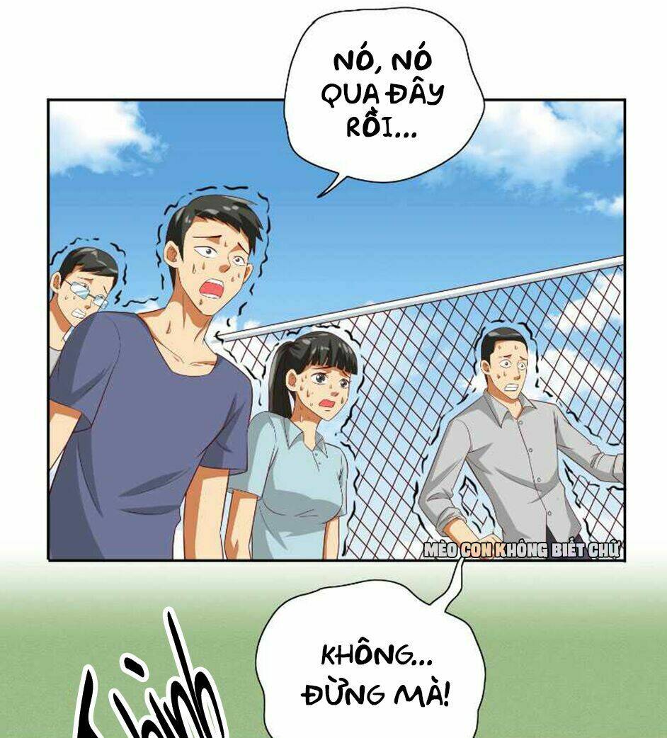 Trang 14