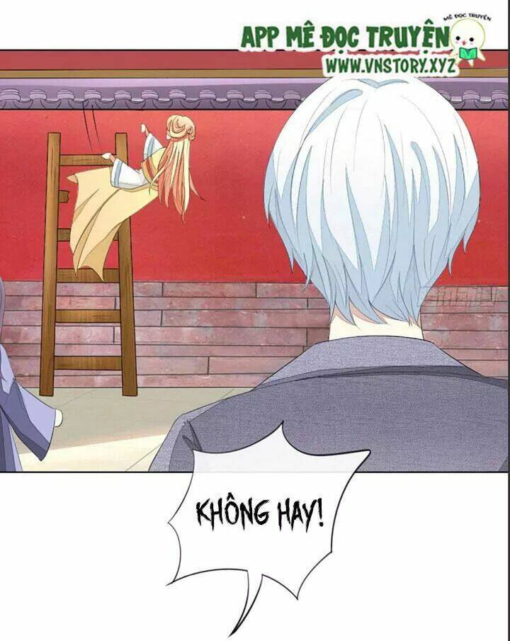 Trang 14