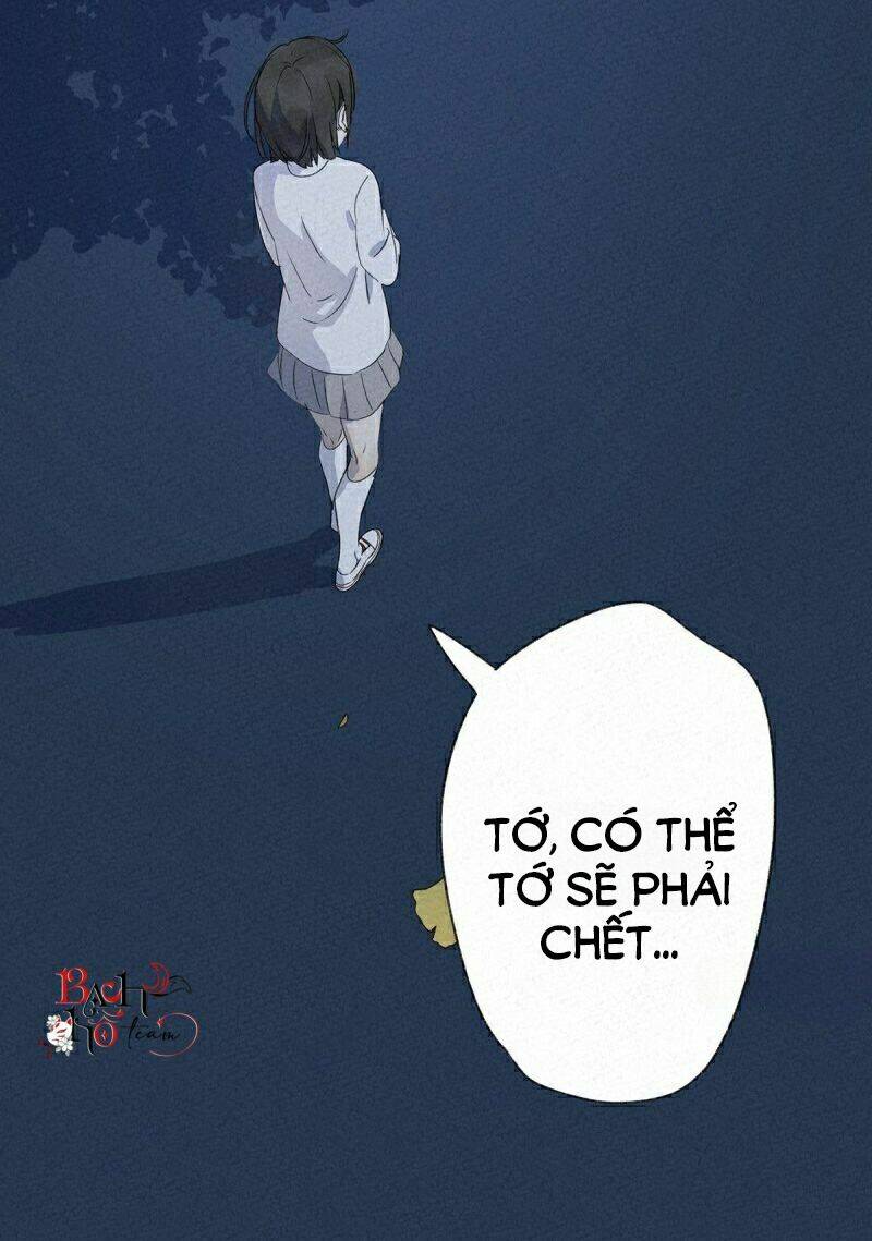 Chương 6 - Trang 45