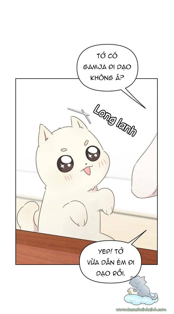 Trang 53