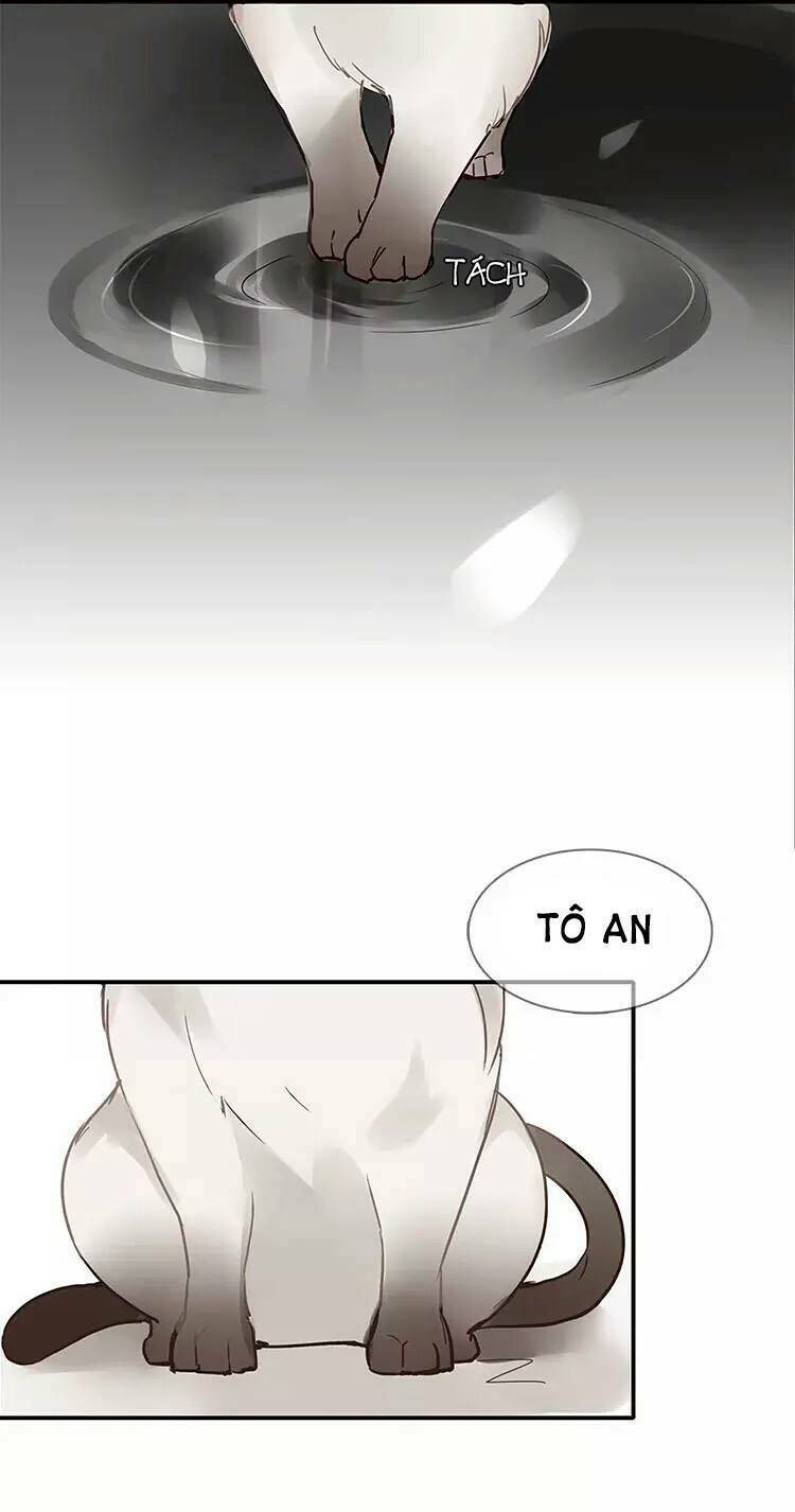 Chương 2 - Trang 21