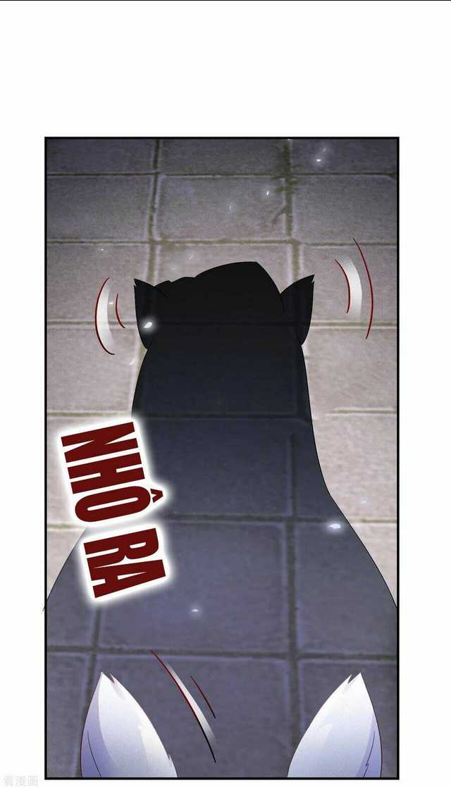 Chương 95 - Trang 11