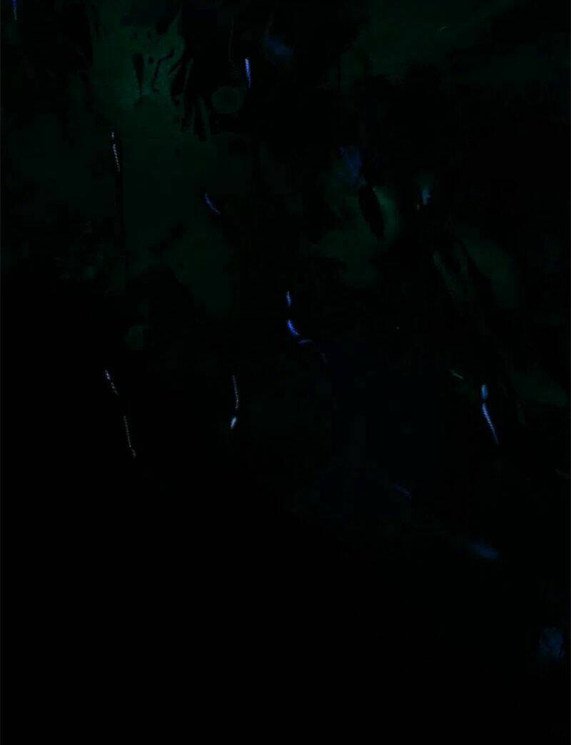 Chương 496 - Trang 6