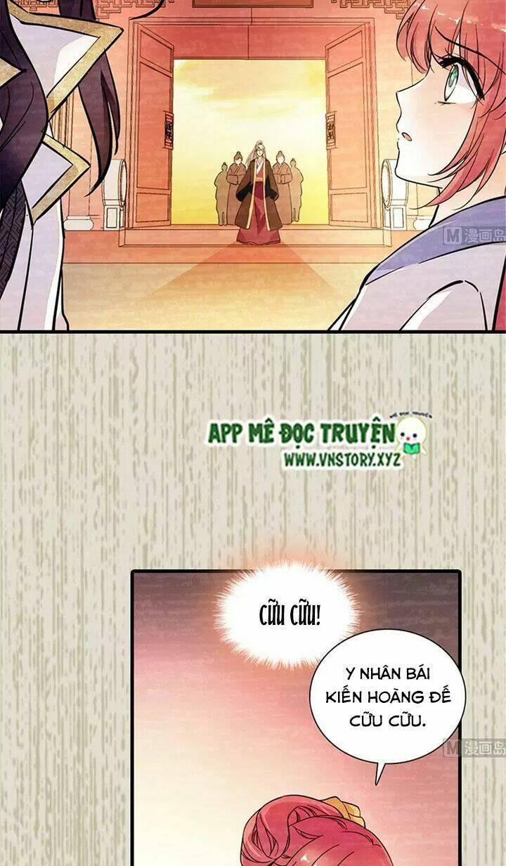 Chương 196 - Trang 17