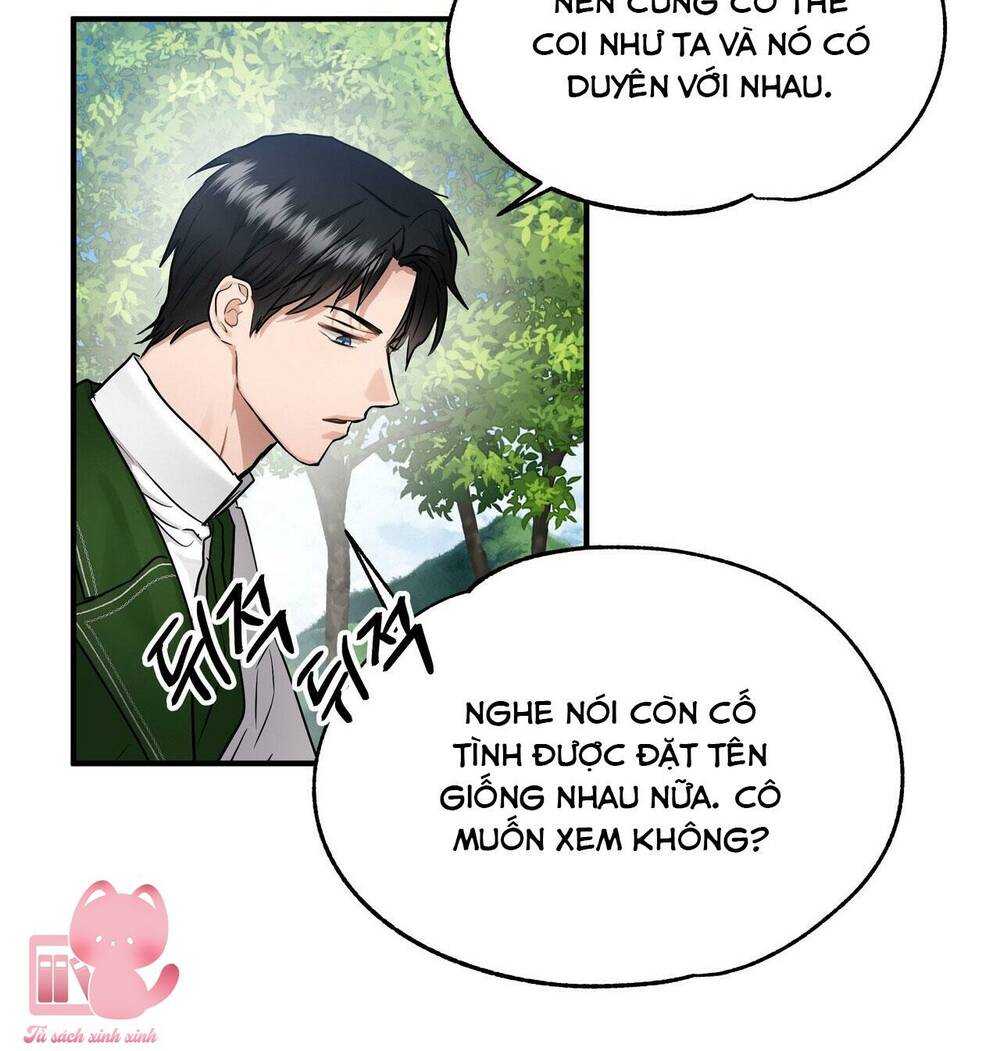 Chương 33 - Trang 52