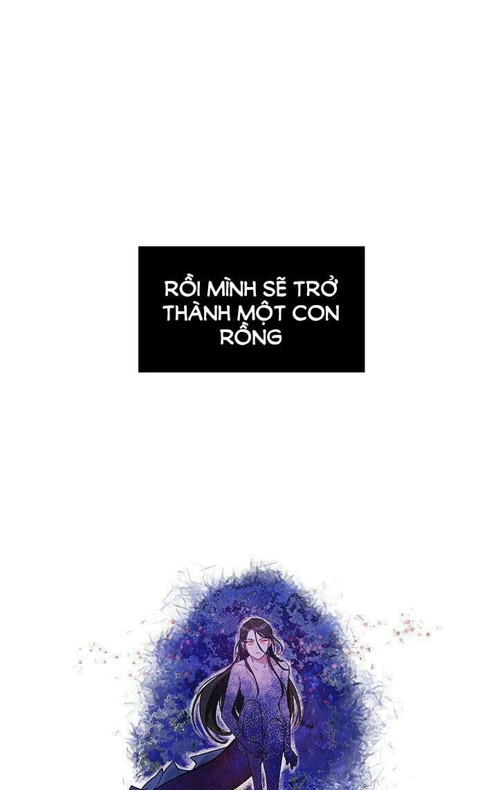 Chương 2 - Trang 4
