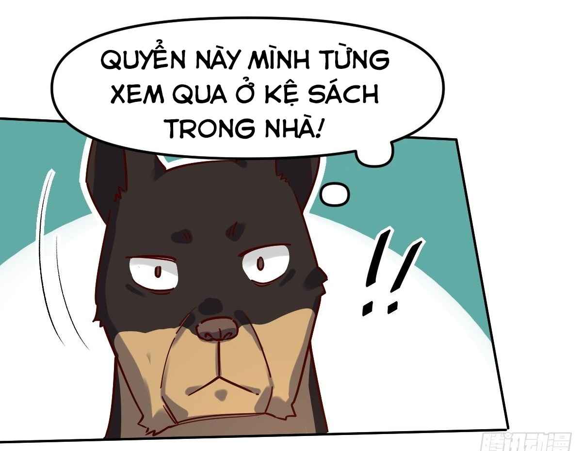 Trang 17