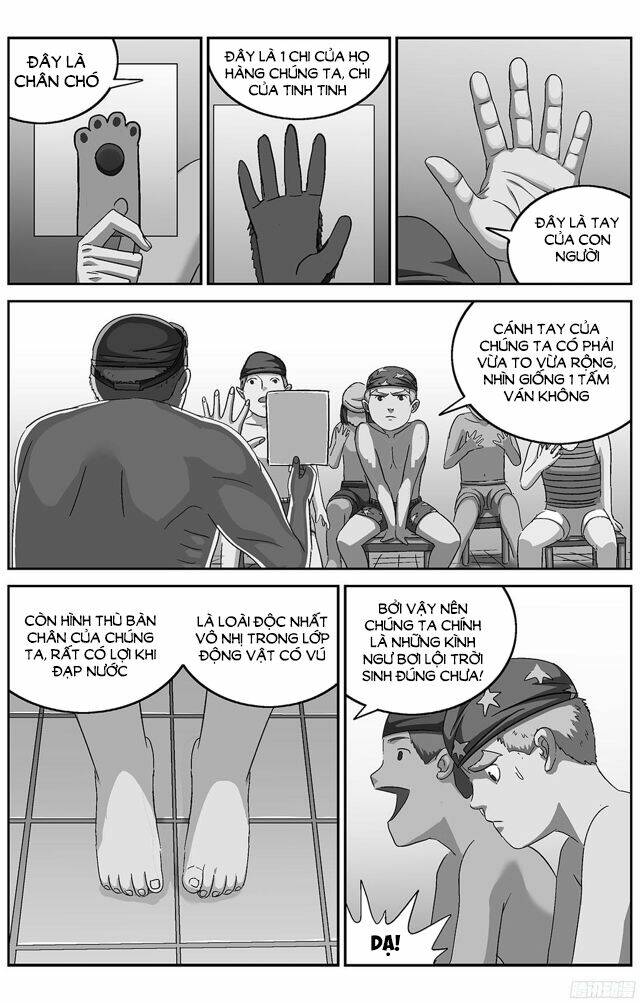 Chương 239 - Trang 11
