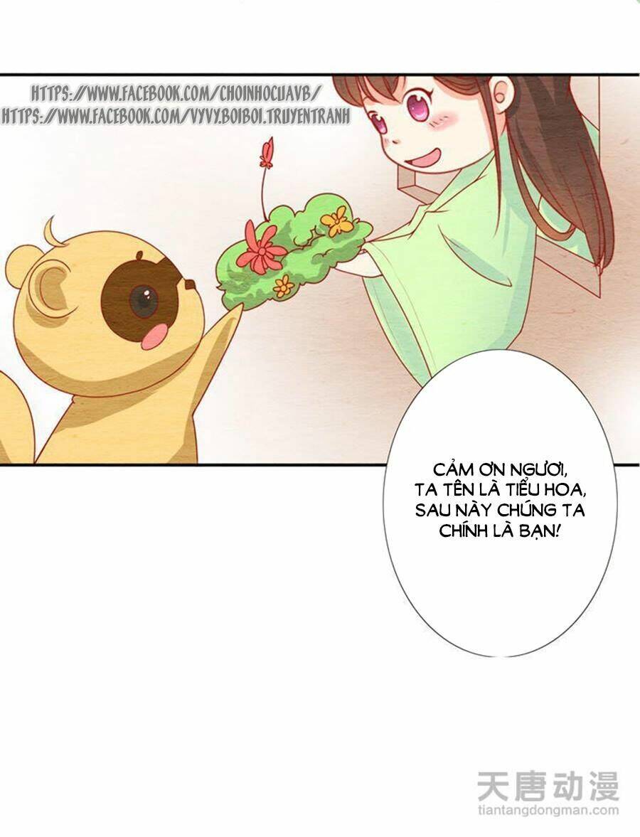 Trang 20