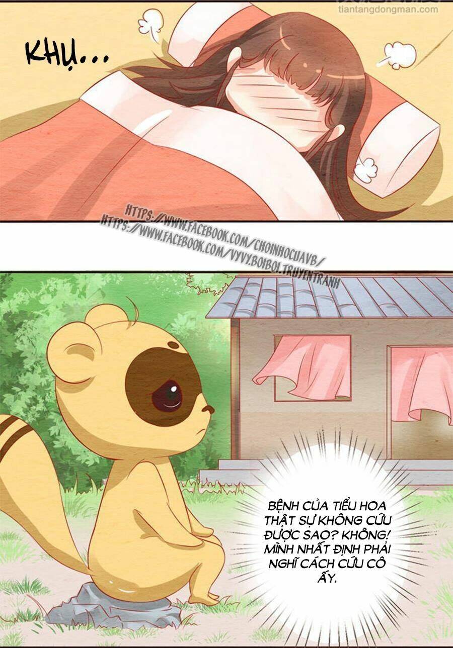 Trang 29