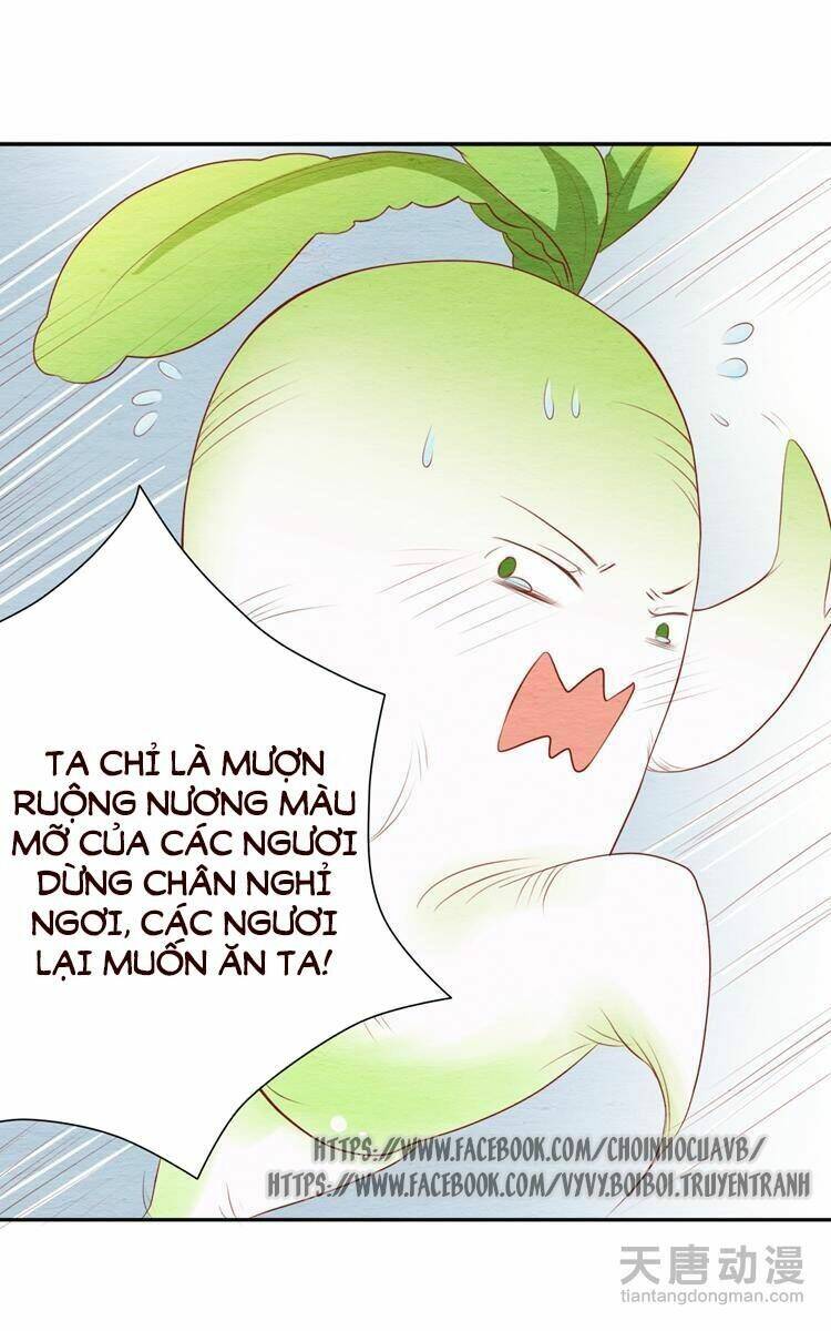 Trang 27