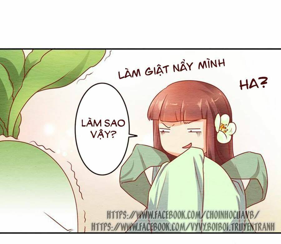 Trang 35
