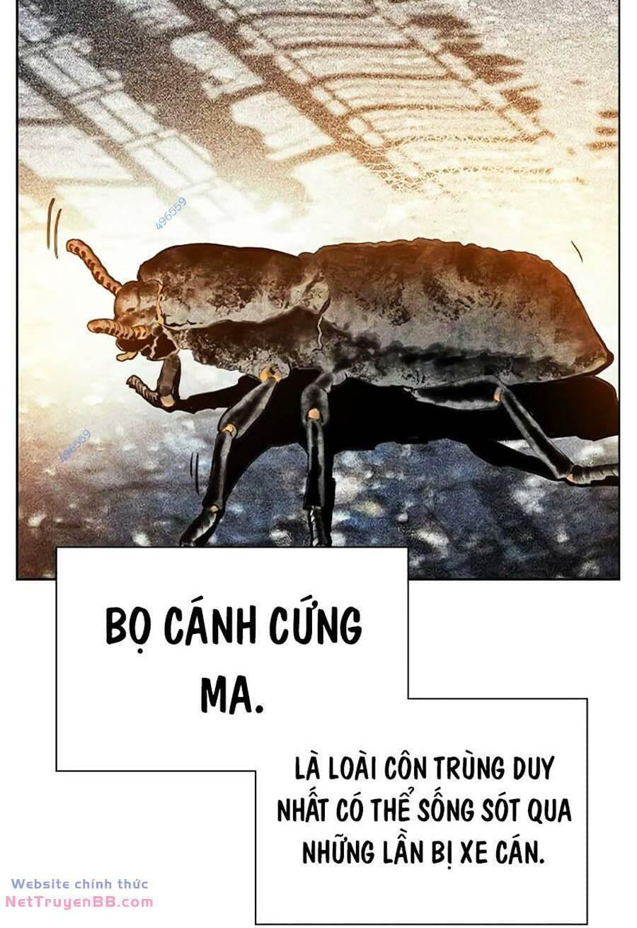 Chương 116 - Trang 5