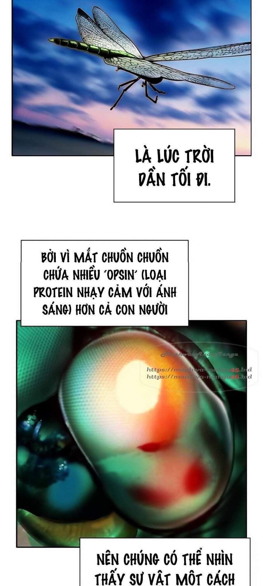 Chương 34 - Trang 109