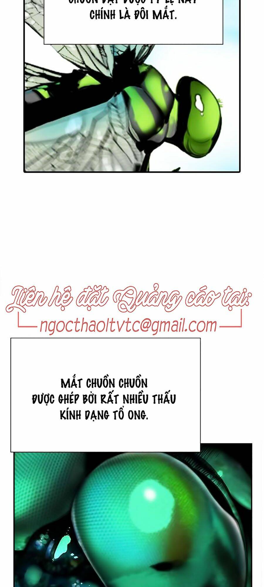Chương 4 - Trang 99