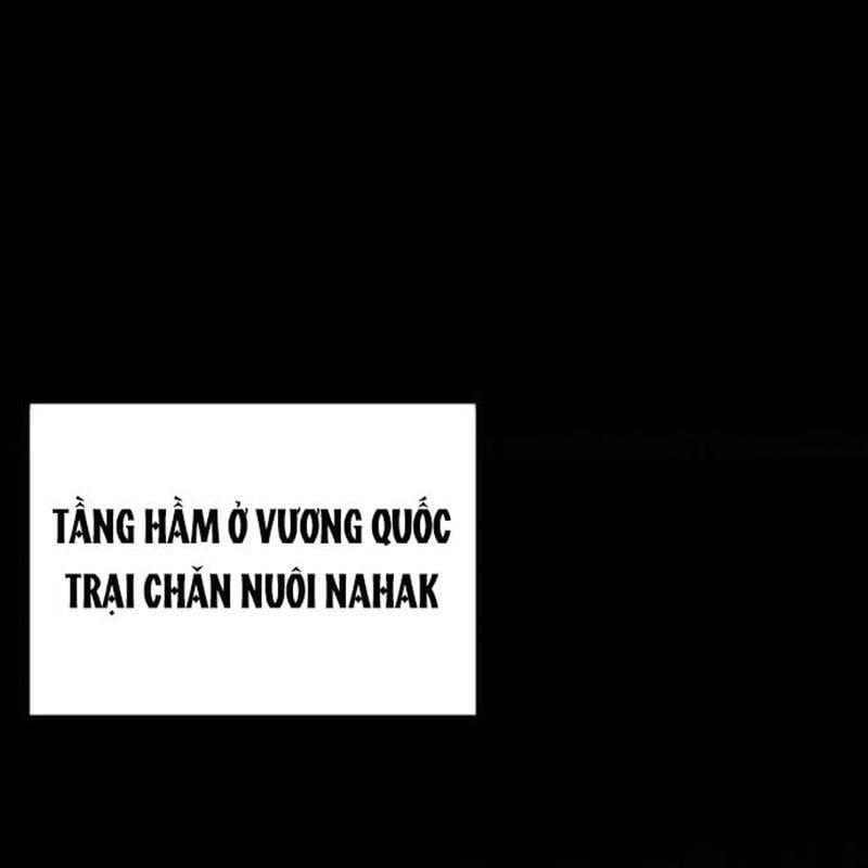 Trang 233