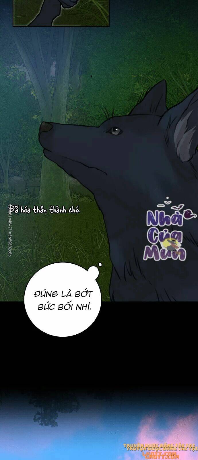 Trang 46