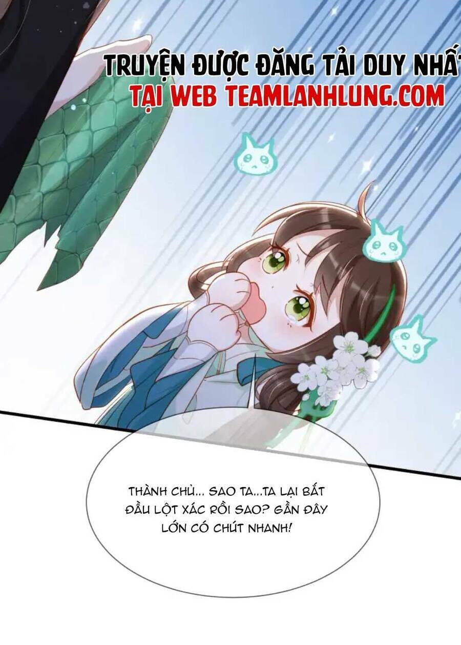 Trang 33