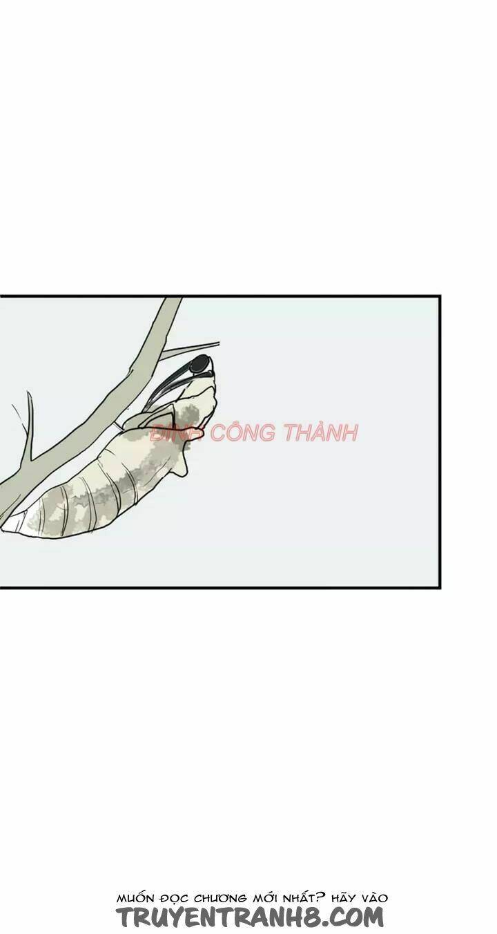 Chương 1 - Trang 5