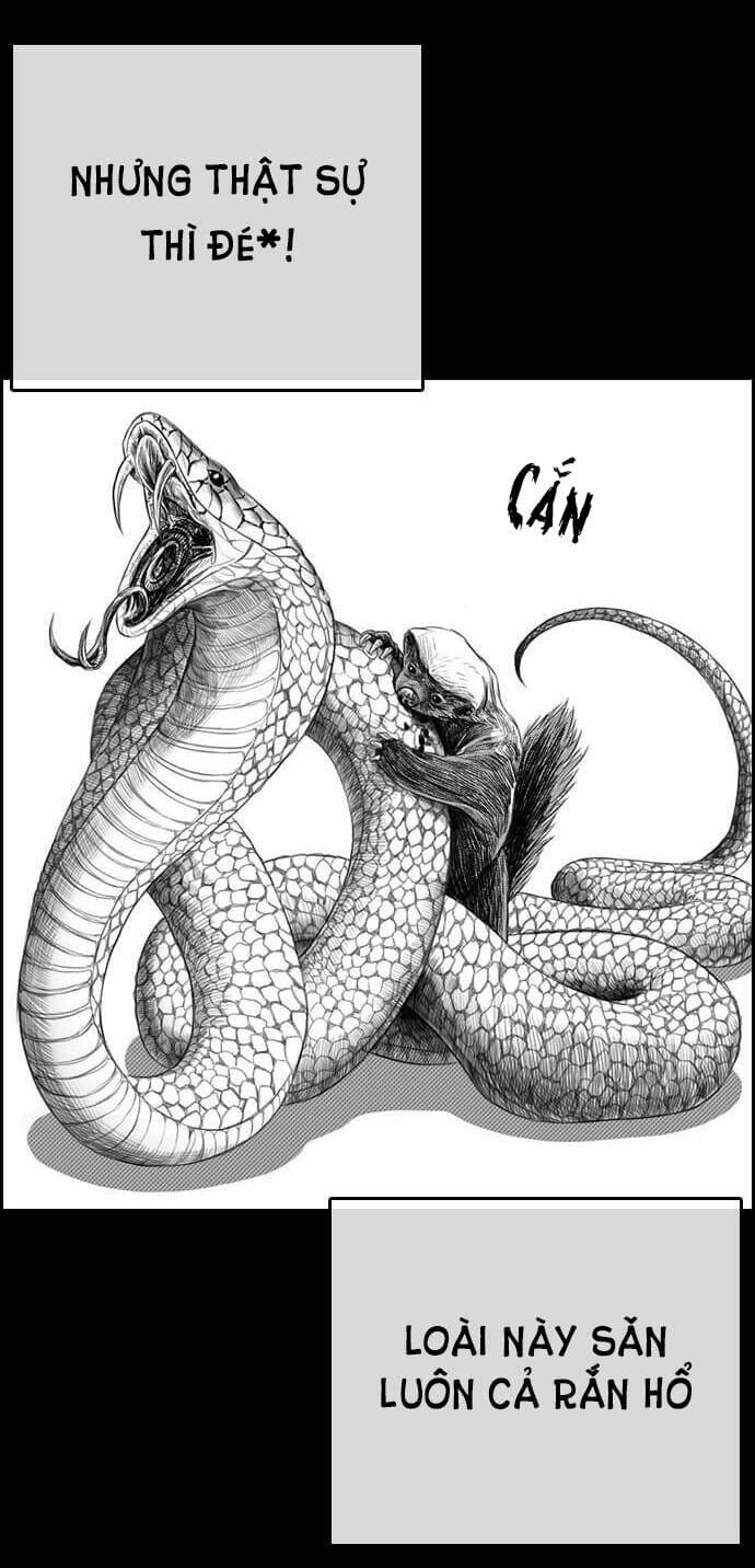 Chương 4 - Trang 5