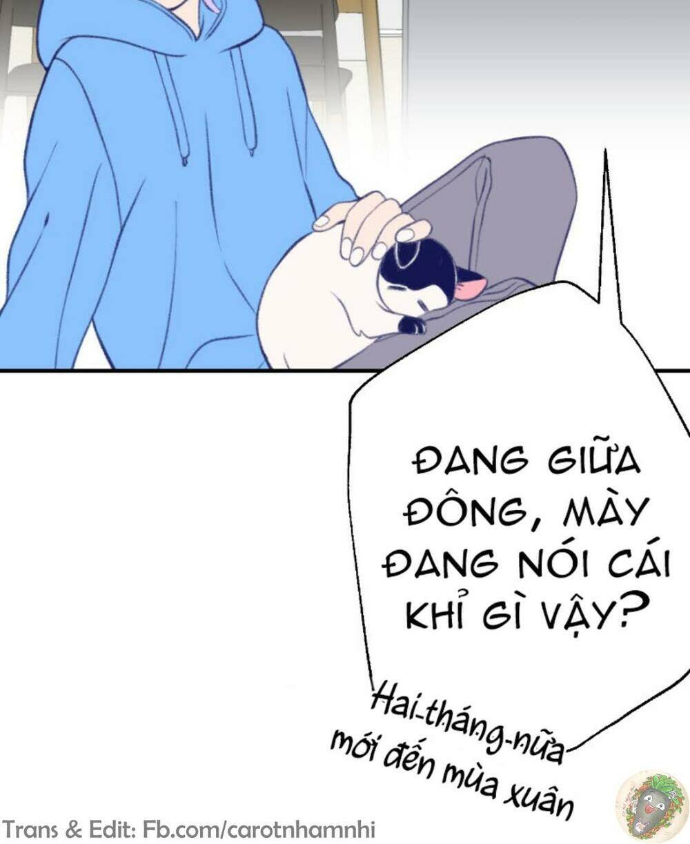 Chương 13 - Trang 67