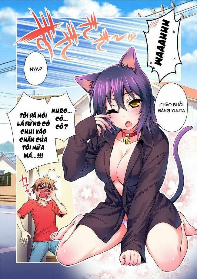 Trang 6