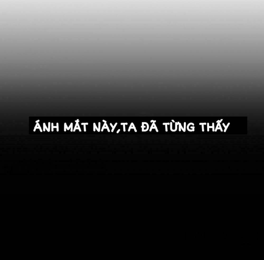 Chương 2 - Trang 24