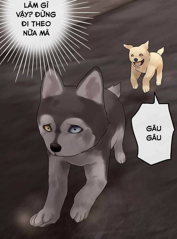 Chương 28 - Trang 19