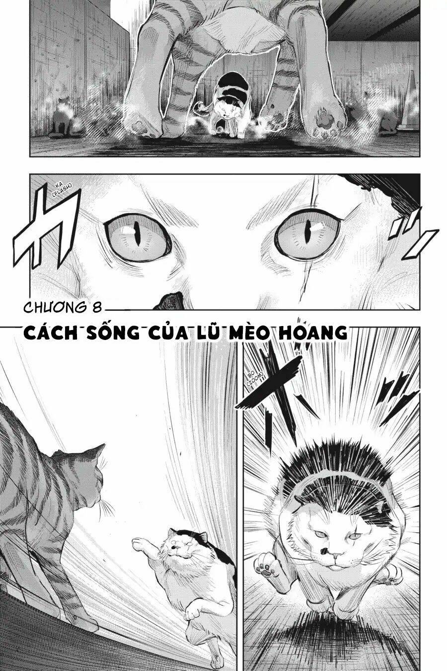 Chương 8 - Trang 5