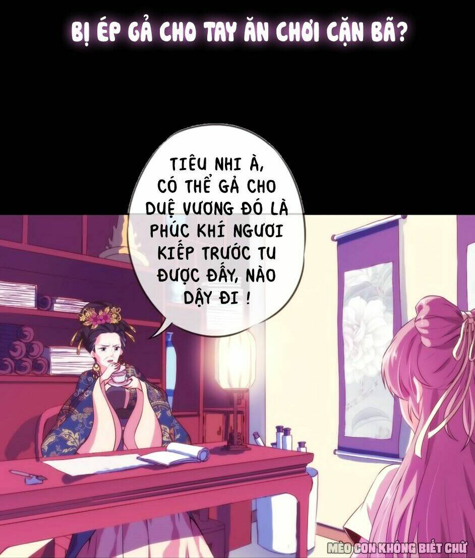 Chương 0 - Trang 17