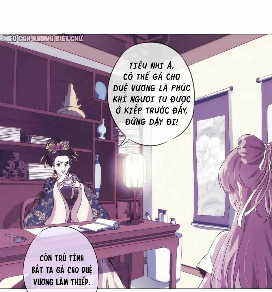 Chương 1 - Trang 31