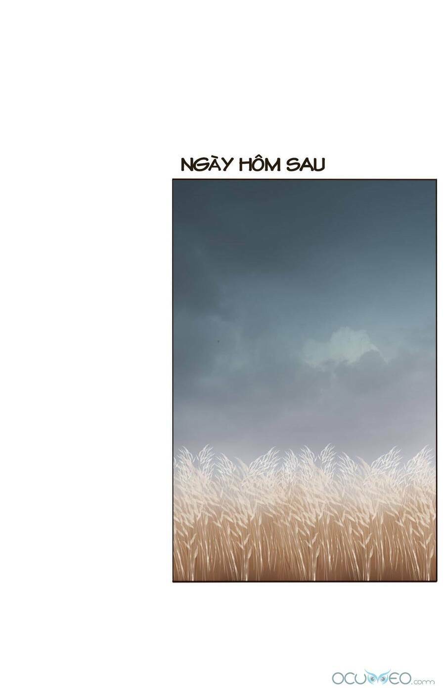 Chương 17 - Trang 33