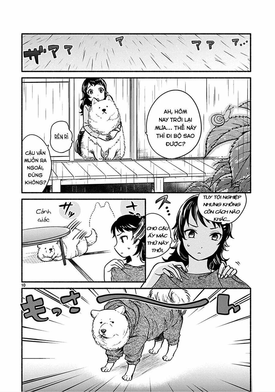 Trang 13