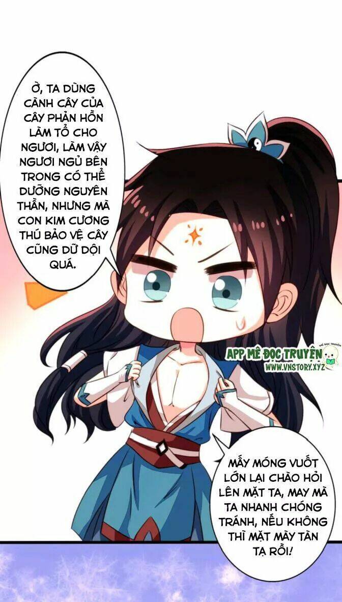 Trang 19