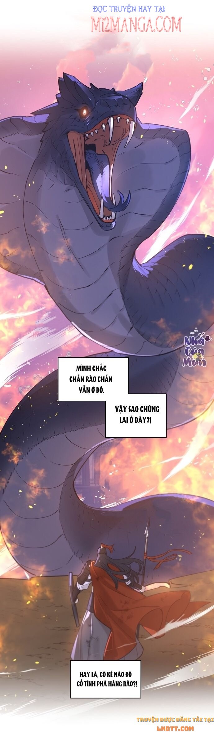 Trang 15