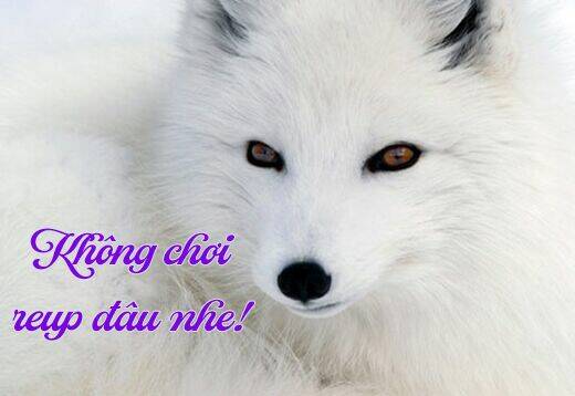 Chương 2 - Trang 23